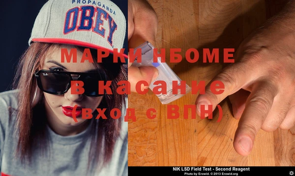 хмурый Сосновый Бор