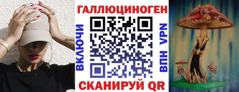 Псилоцибиновые грибы Psilocybe  Купить где  Чудово